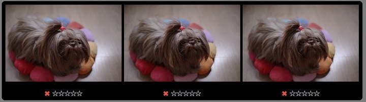 A stack of four photos spread out side by side, with the four-star pick and the other three marked as rejected