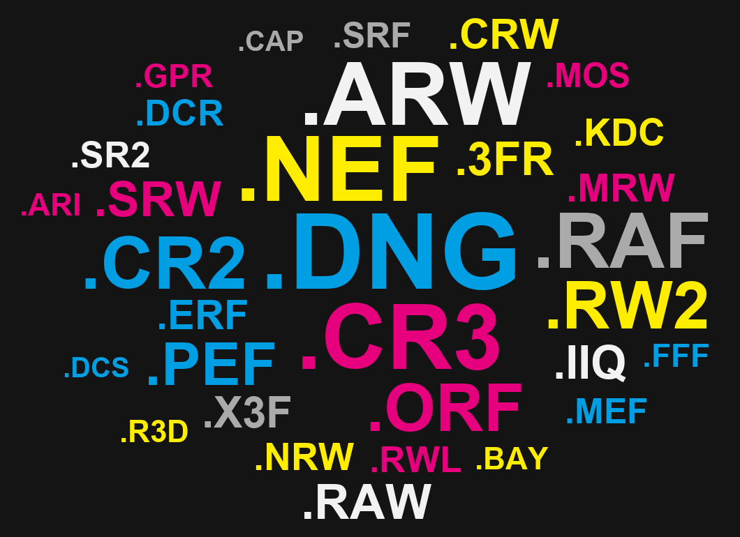 A cloud of raw file extensions: DNG, CR3, NEF, ARW, RAF, CR2, ORF, RW2, PEF and many more